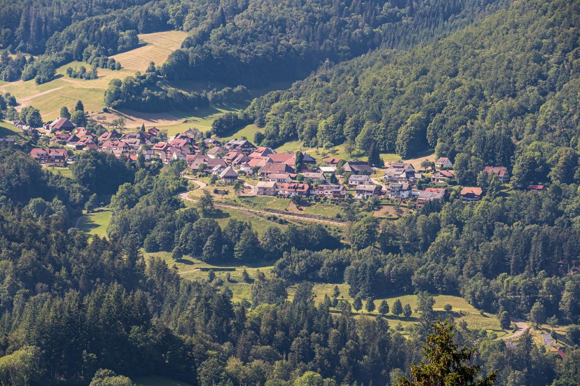 Ferienwohnung Belchenliebe Schonenberg 외부 사진