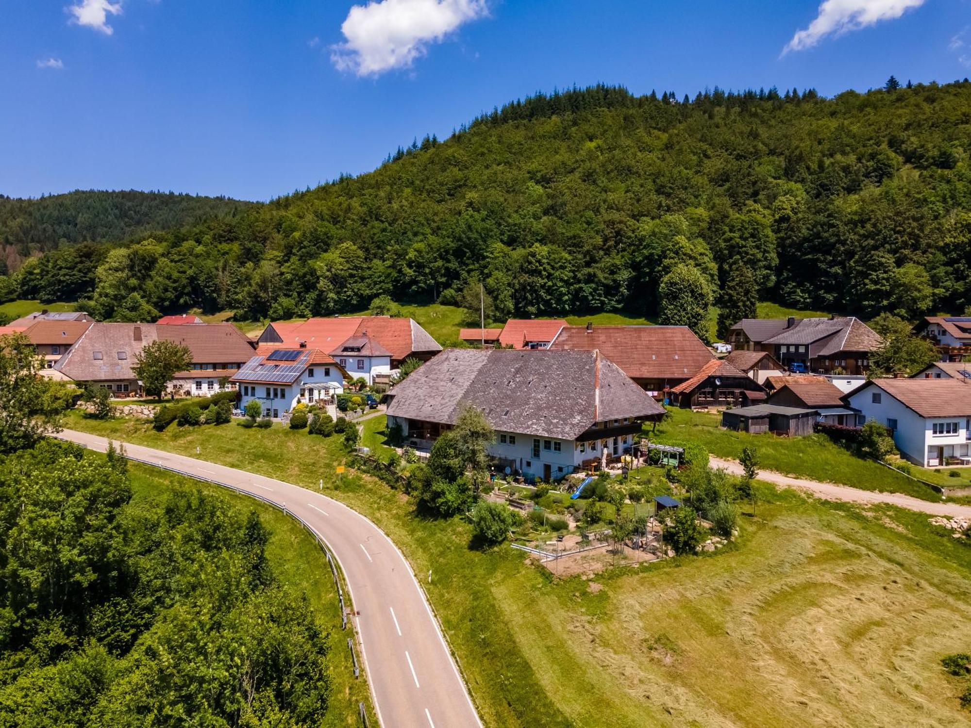 Ferienwohnung Belchenliebe Schonenberg 외부 사진
