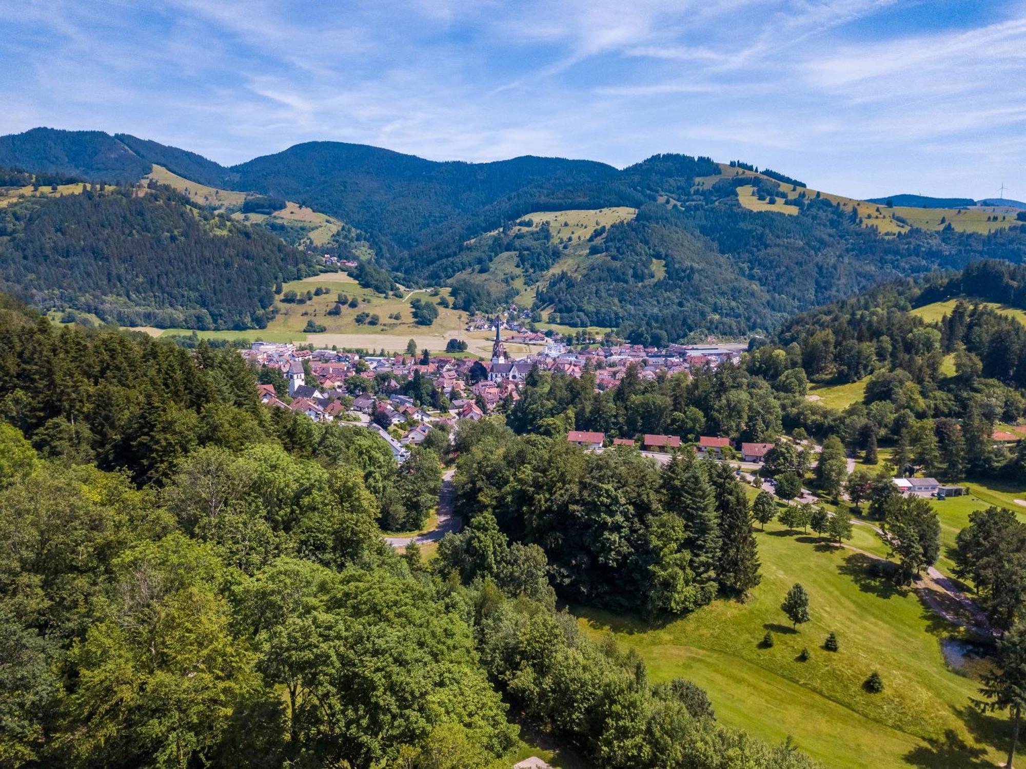 Ferienwohnung Belchenliebe Schonenberg 외부 사진